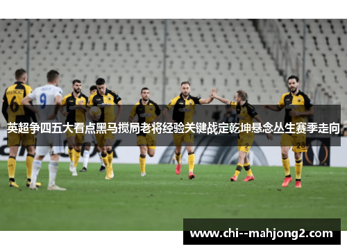 英超争四五大看点黑马搅局老将经验关键战定乾坤悬念丛生赛季走向